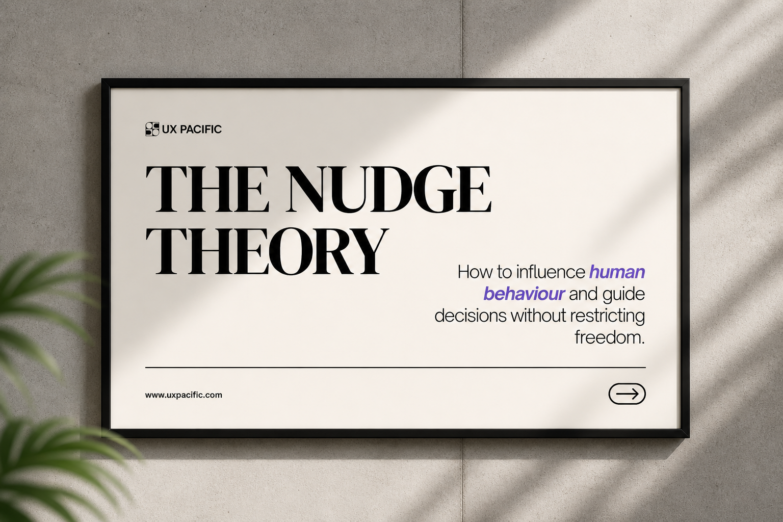 The Nudge Thoery